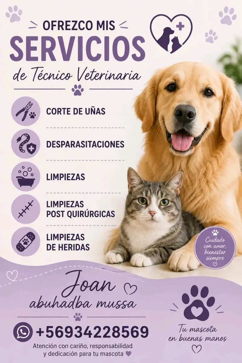 Bravecto 1M para perros pequeños medianos y grande - 5