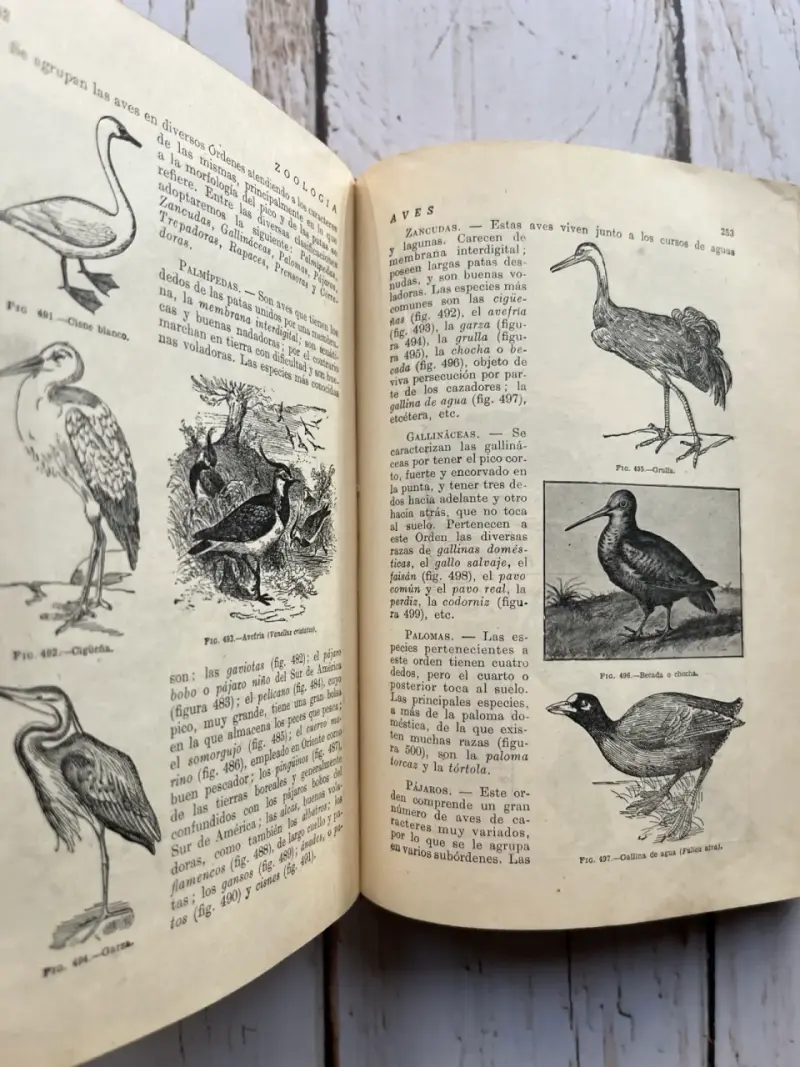 Libro antiguo Ciencias Físicas y Naturales - 6
