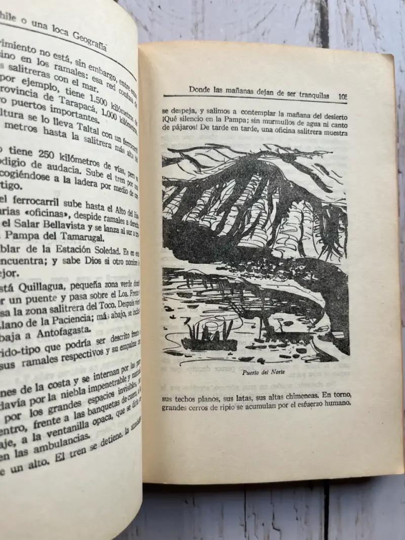 'Chile o una loca geografía' de Benjamín Subercas - 4