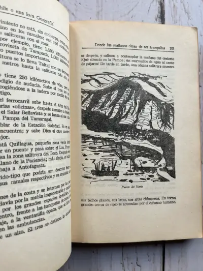 'Chile o una loca geografía' de Benjamín Subercas - miniatura 4