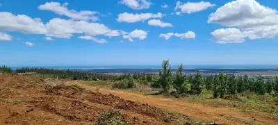 PARCELA CON VISTA AL MAR Y A HUMEDALES - miniatura 1