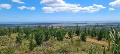 PARCELA CON VISTA AL MAR Y A HUMEDALES - miniatura 2