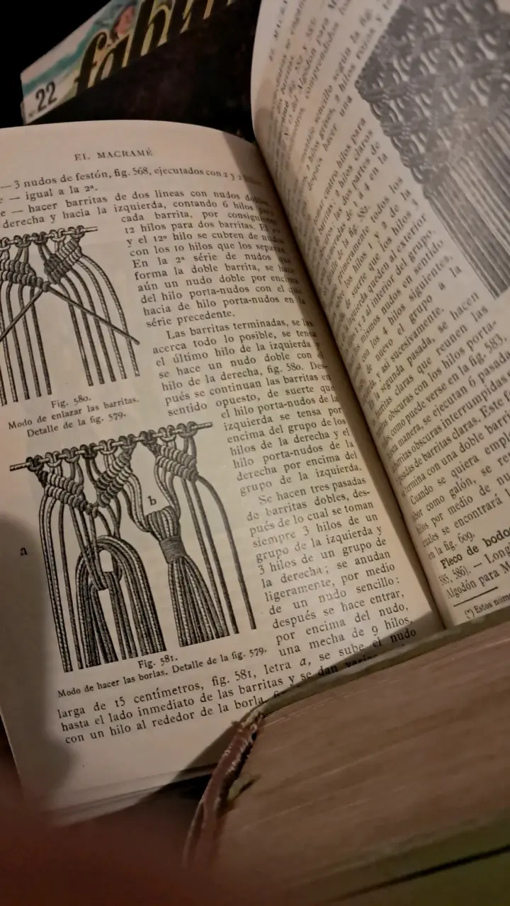 Enciclopedia de Labores de Señora por Dillmont - 3
