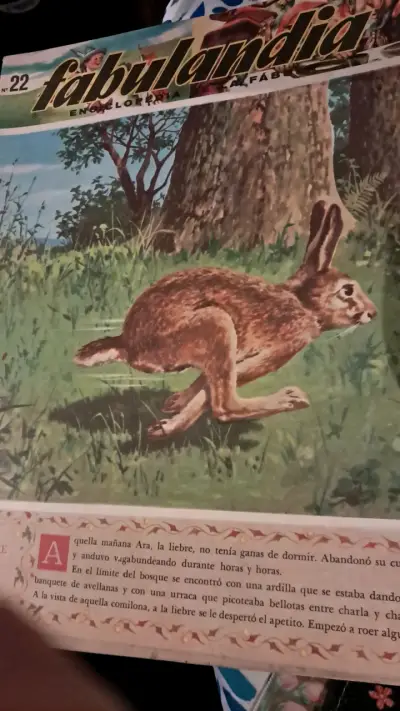 3Colección de revistas Fabulandia vintage - miniatura 5