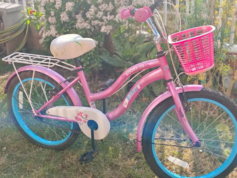 Bicicleta aro 20 con canasto - 2