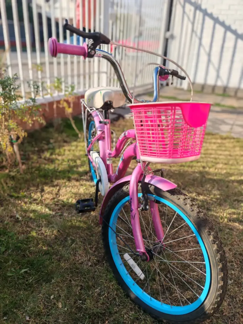 Bicicleta aro 20 con canasto - 3