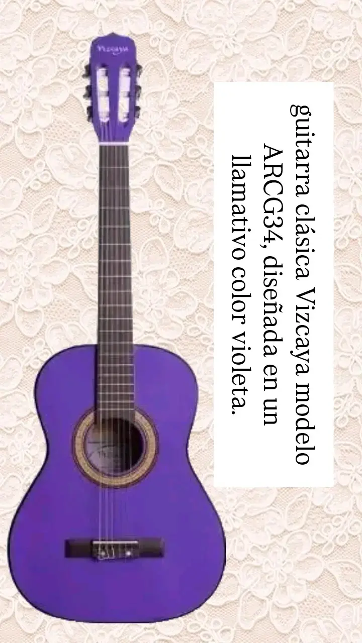 Guitarra clásica Vizcaya ARCG34 violeta - 1