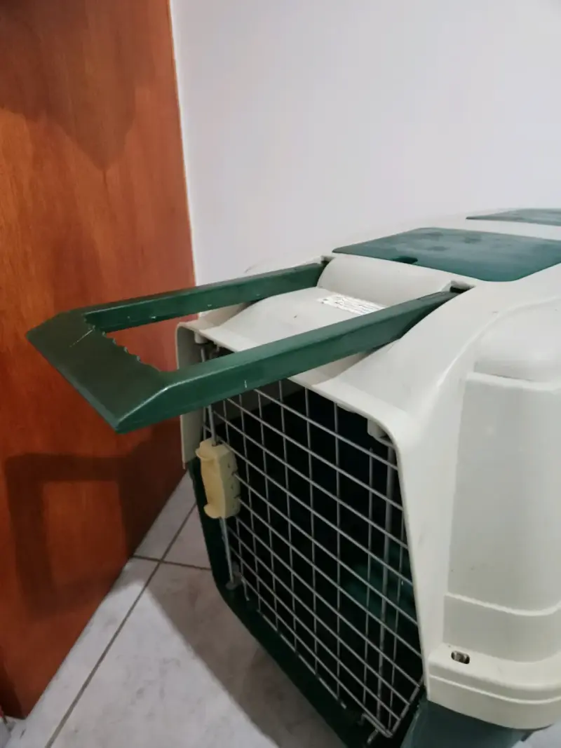 Kit para mascota: transportadora + arenero + plato - 3
