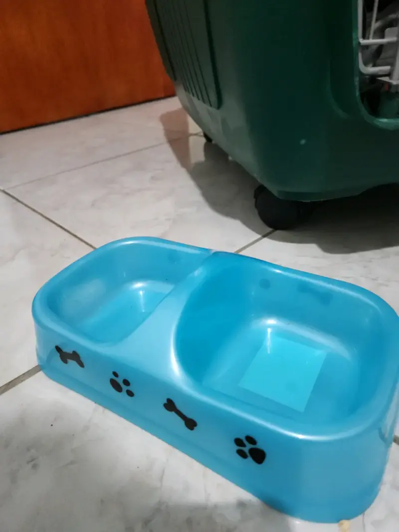 Kit para mascota: transportadora + arenero + plato - 5