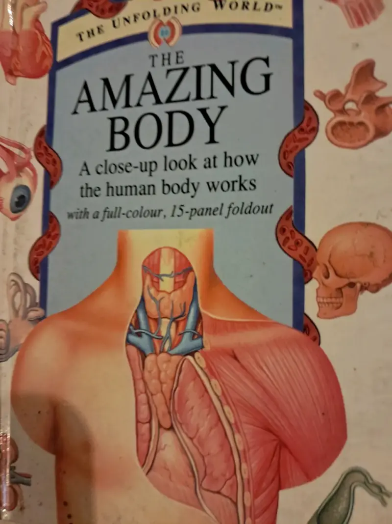 Libro 'The Amazing Body' sobre el cuerpo humano - 2