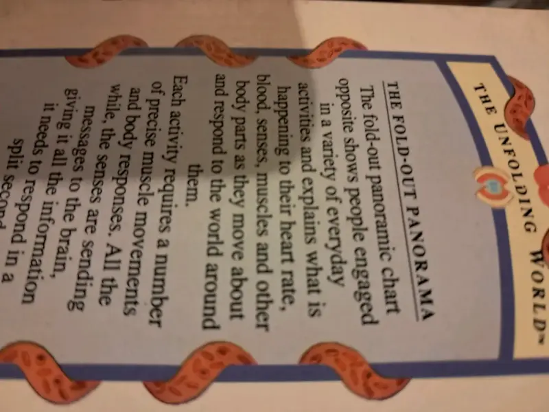 Libro 'The Amazing Body' sobre el cuerpo humano - 3