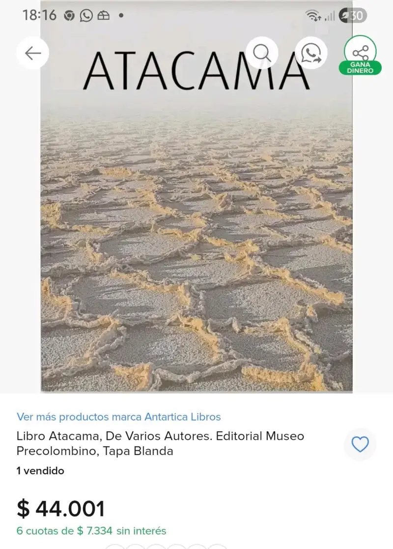 Libro Atacama de varios autores - 6