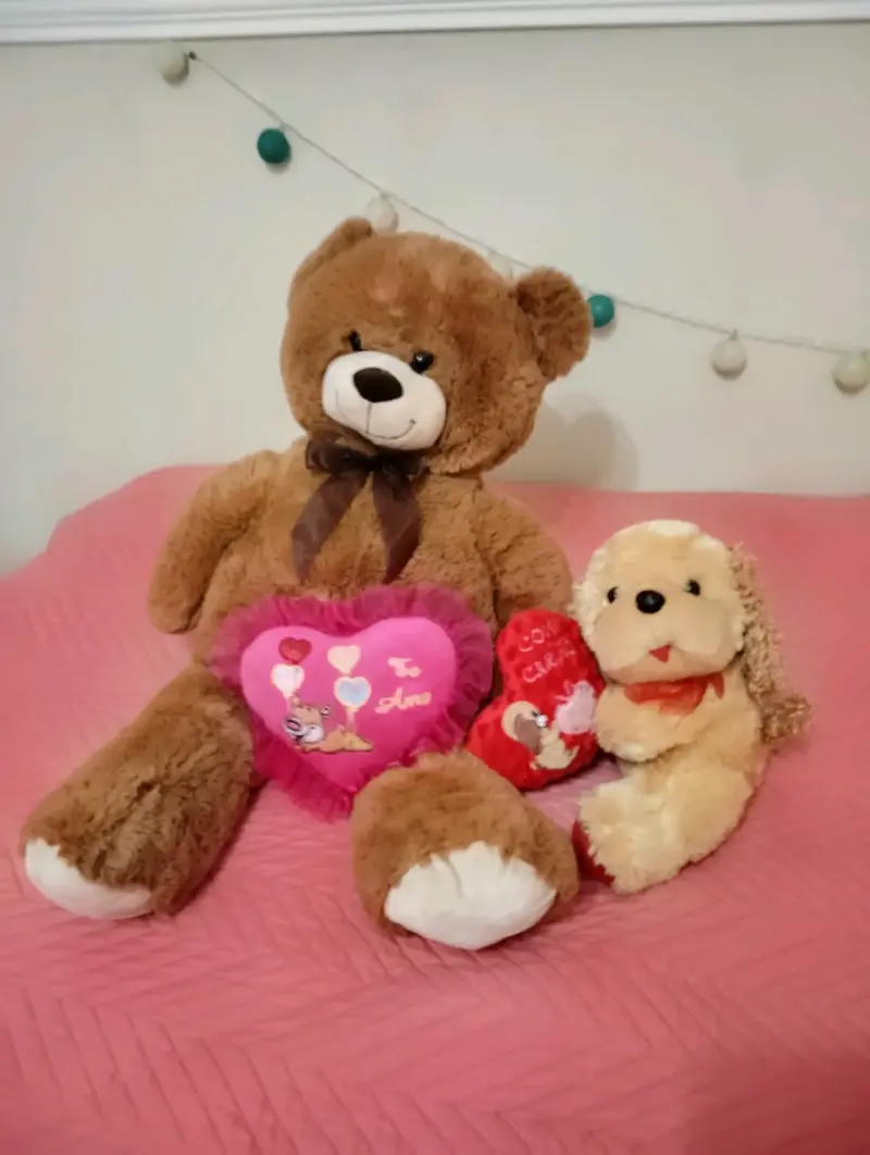 Osito de peluche grande y perrita con corazón - 1