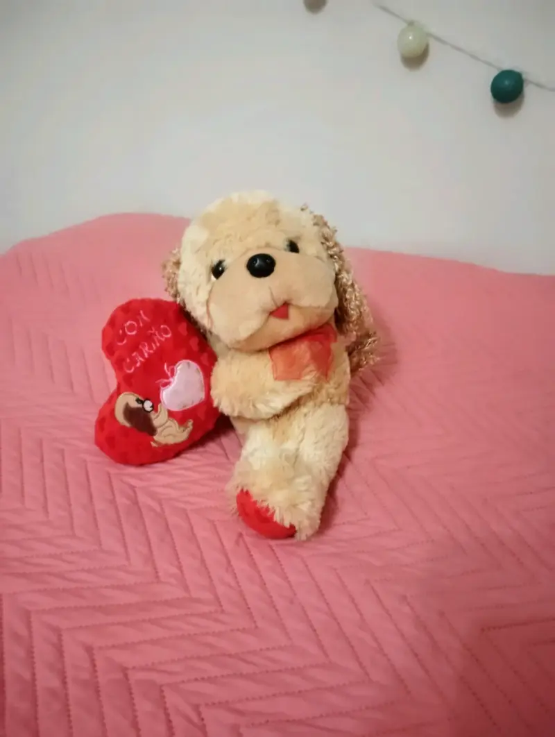 Osito de peluche grande y perrita con corazón - 2