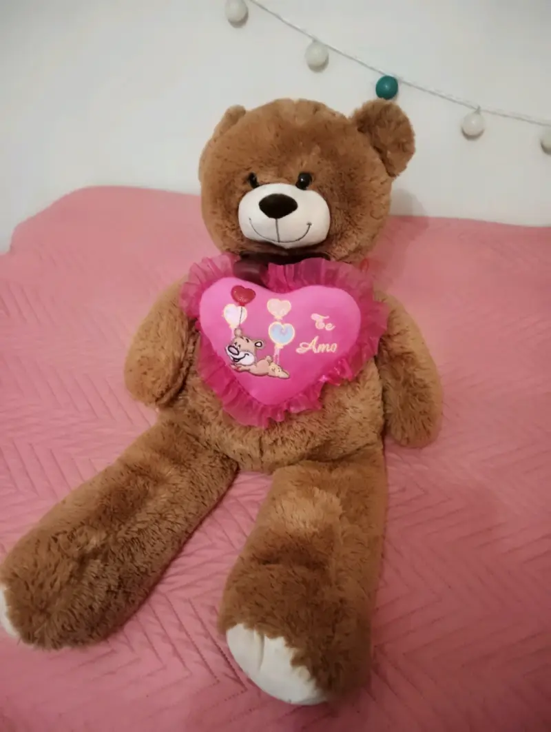 Osito de peluche grande y perrita con corazón - 3