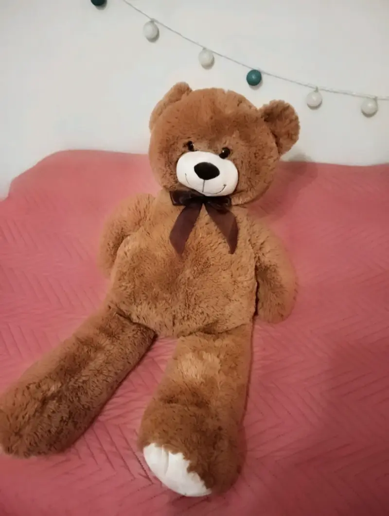 Osito de peluche grande y perrita con corazón - 4