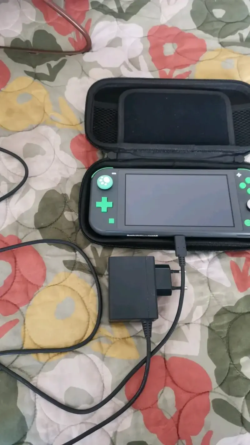 Consola Nintendo Switch Lite con estuche rígido - 2