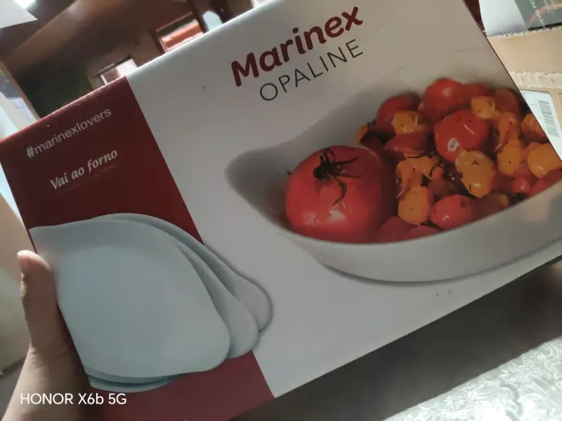 Set de fuentes para horno Marinex Opaline - 1