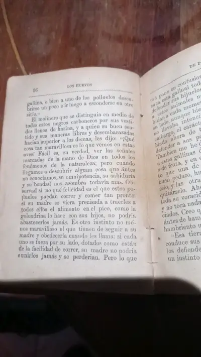Libro antiguo 'Los Huevos de Pascua' 1887 - miniatura 3