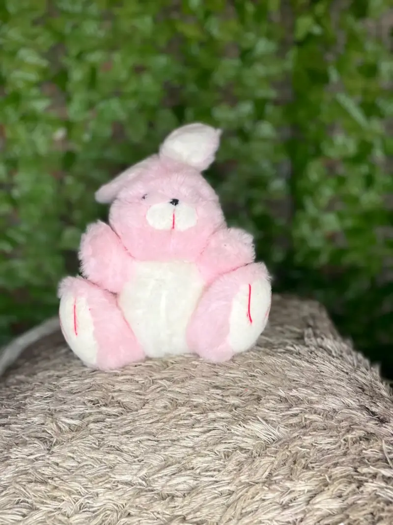 Peluches - 5