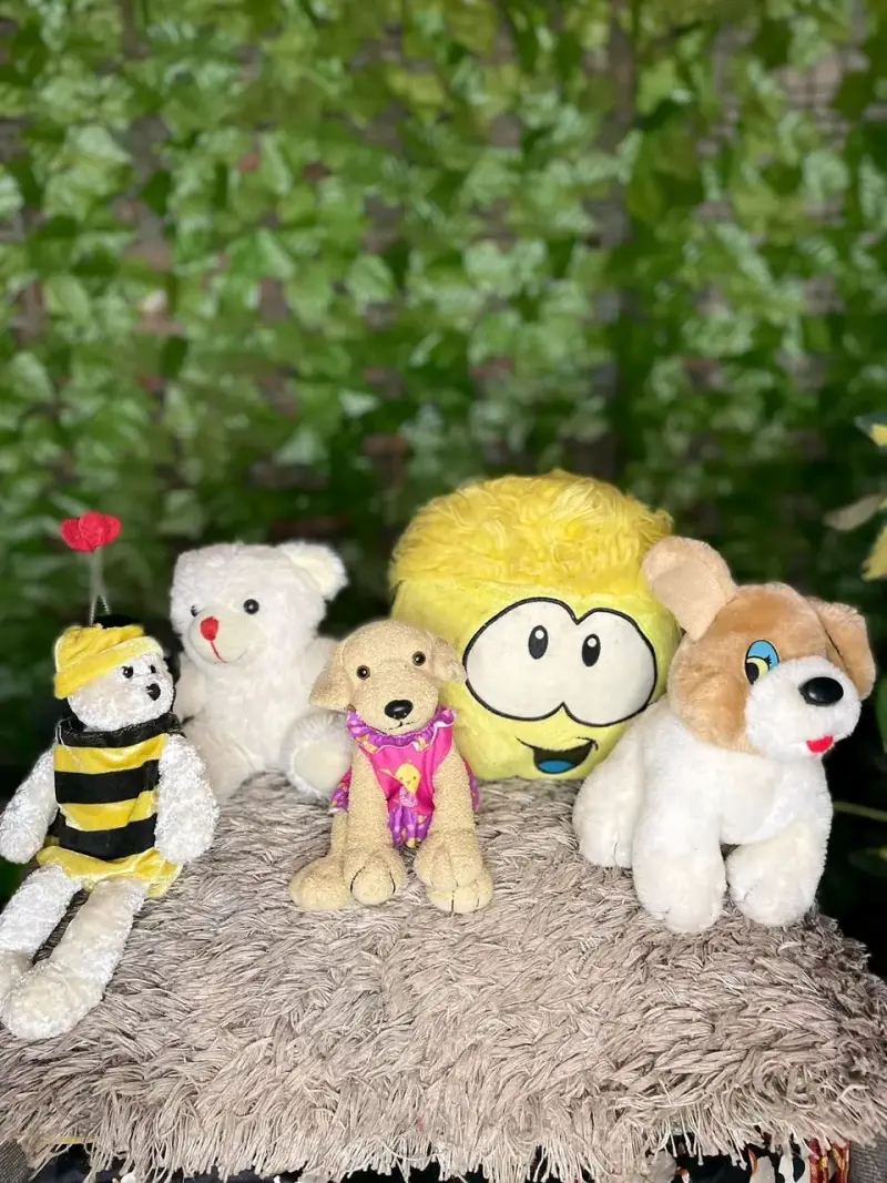 Set de juguetes de peluche para niños - 3