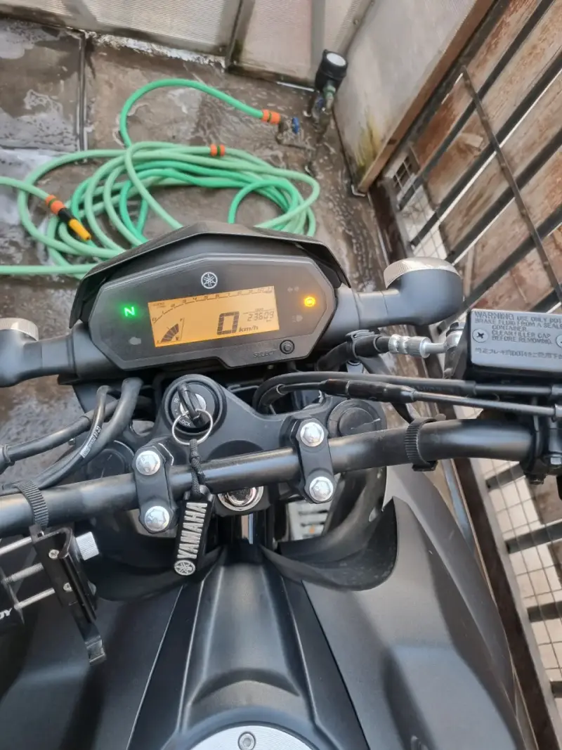 Fz25 año2024 - 4