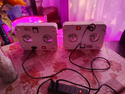 Panel led progarden 1000w indoor - miniatura 2
