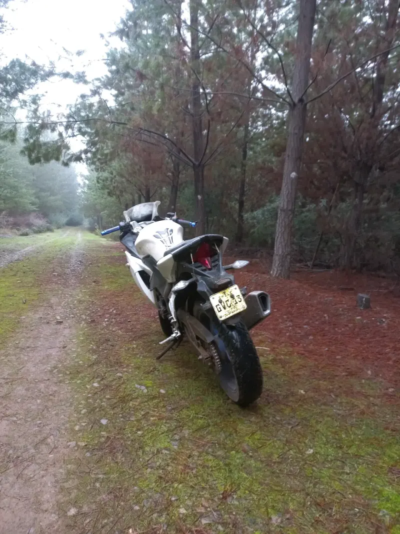Motocicleta deportiva loncin gp 250. - 4