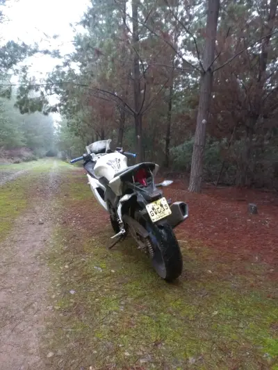 Motocicleta deportiva loncin gp 250. - miniatura 4