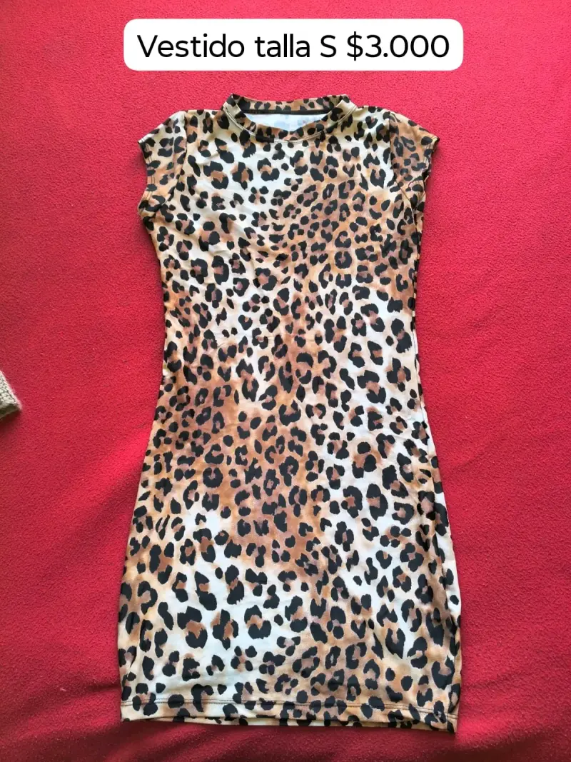 Ropa talla 36 y XS-S - 5