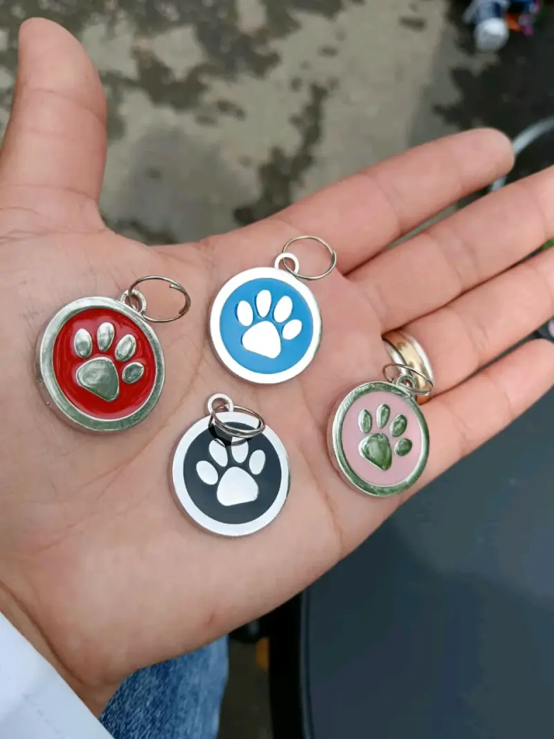 Chapas identificativas para mascotas con diseño de gato - 6