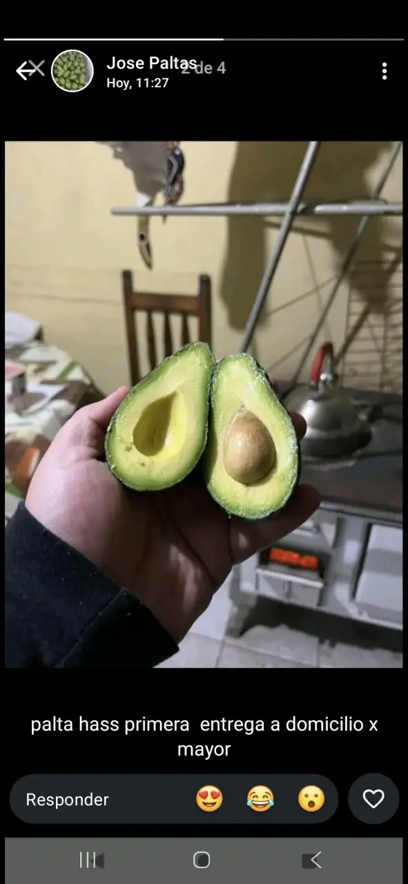 Palta AS - 2