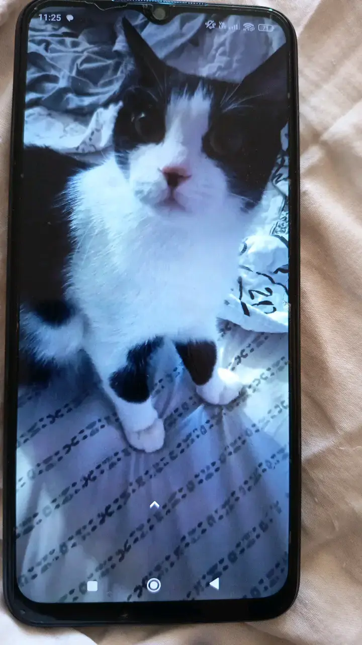 Smartphone Xiaomi Redmi 10 5G 128GB - 3