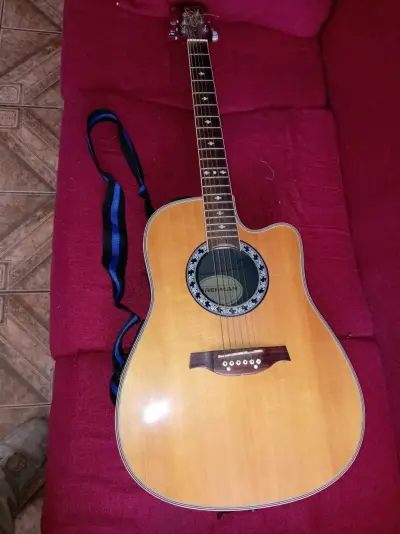 Guitarra acústica Freiman con diseño floral - miniatura 1