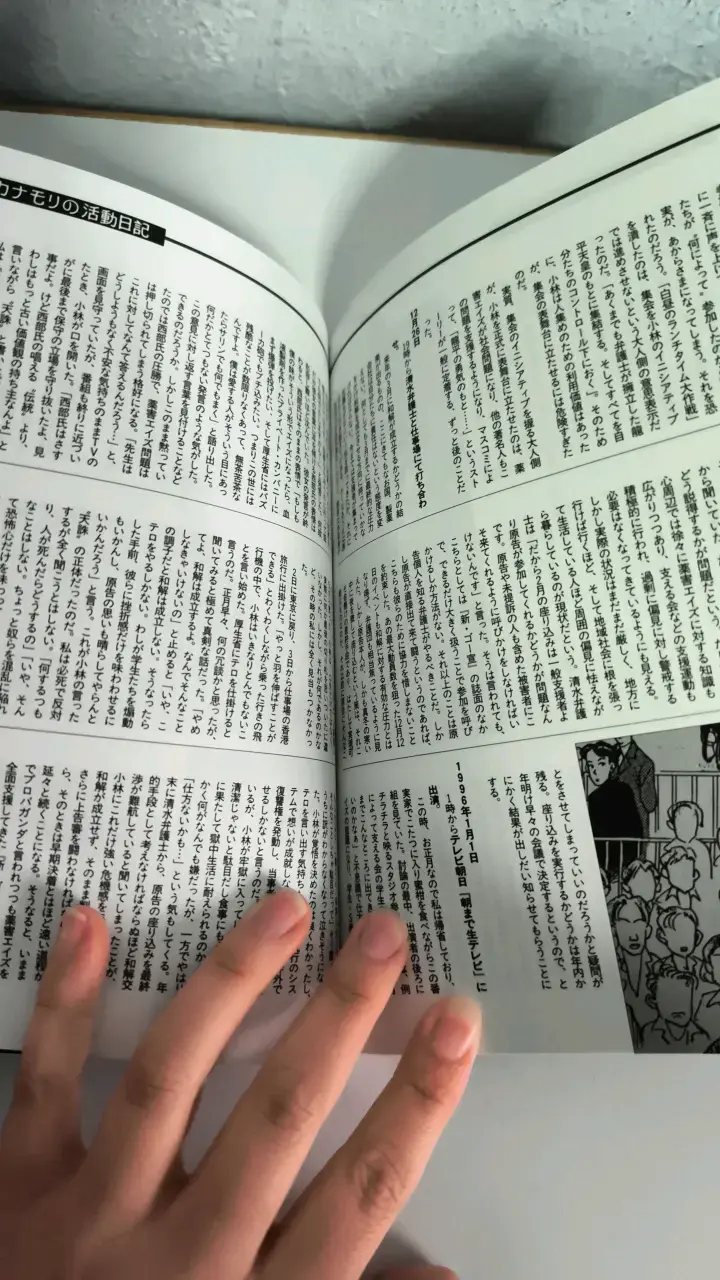 Libro japonés con ilustraciones únicas - 4
