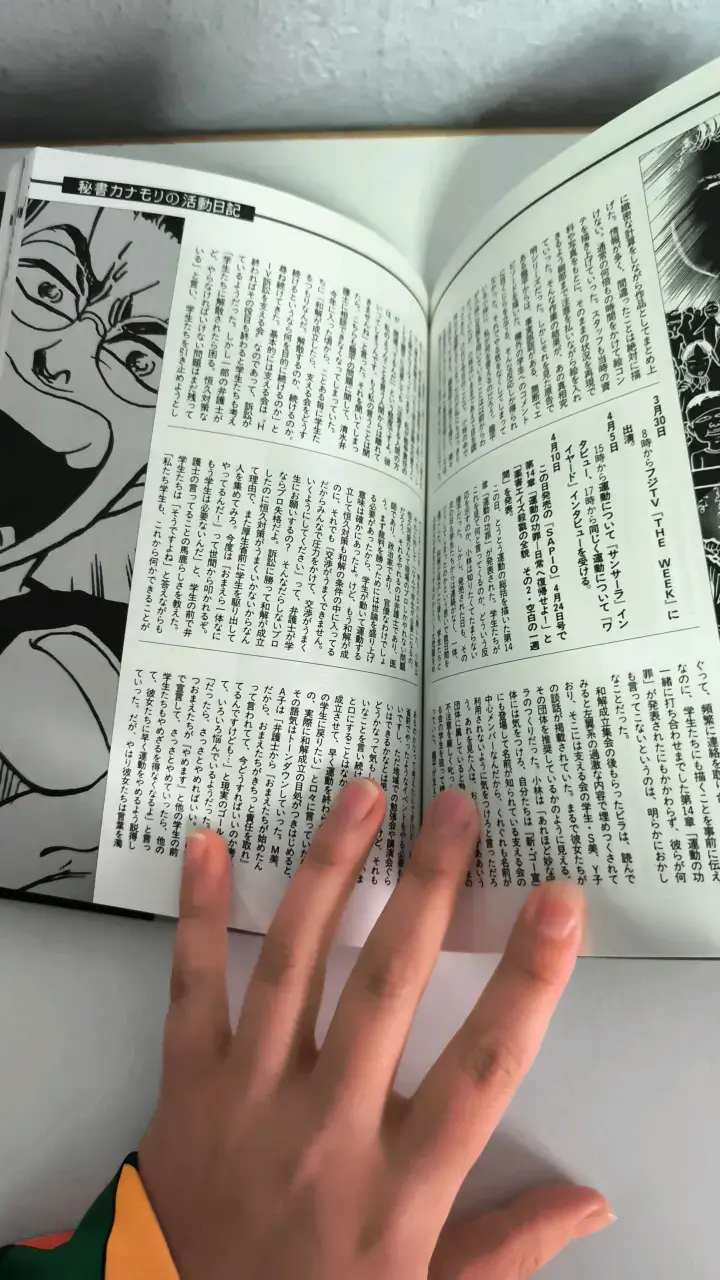 Libro japonés con ilustraciones únicas - 5