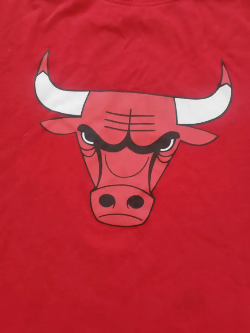 Polera roja NBA Chicago Bulls - 4