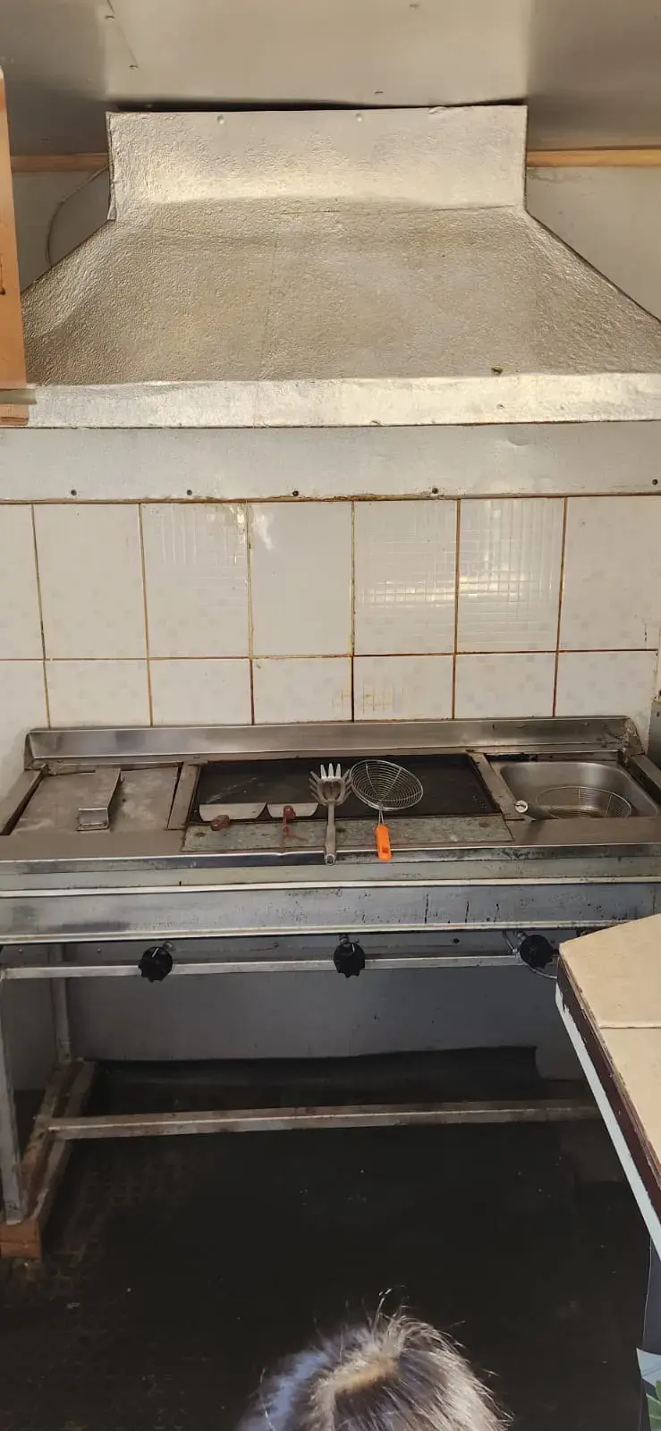 Carro de comida rápida (Foodtruck) - 2