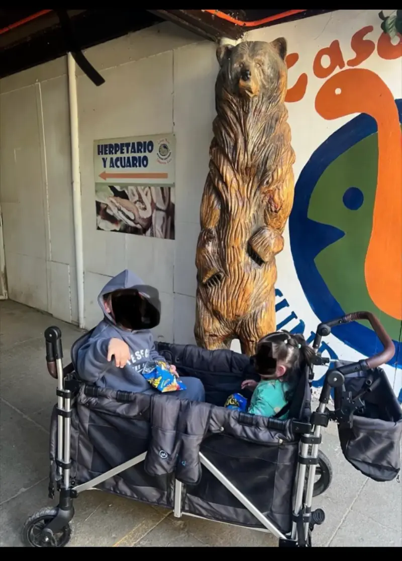 Carro de paseo doble para niños - 1