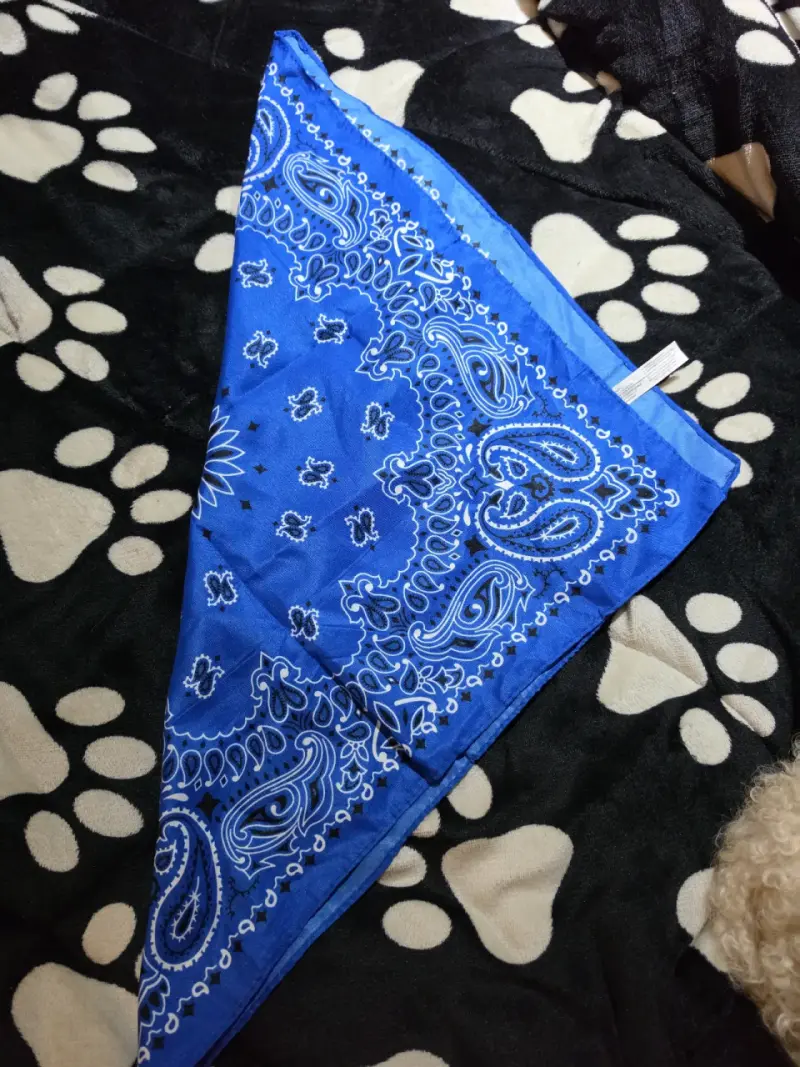 Pañuelo bandana azul estilo paisley - 2