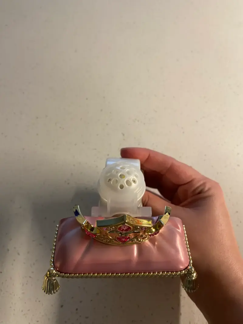 Wallflower Aurora Bath and Body Works 120V - 2
