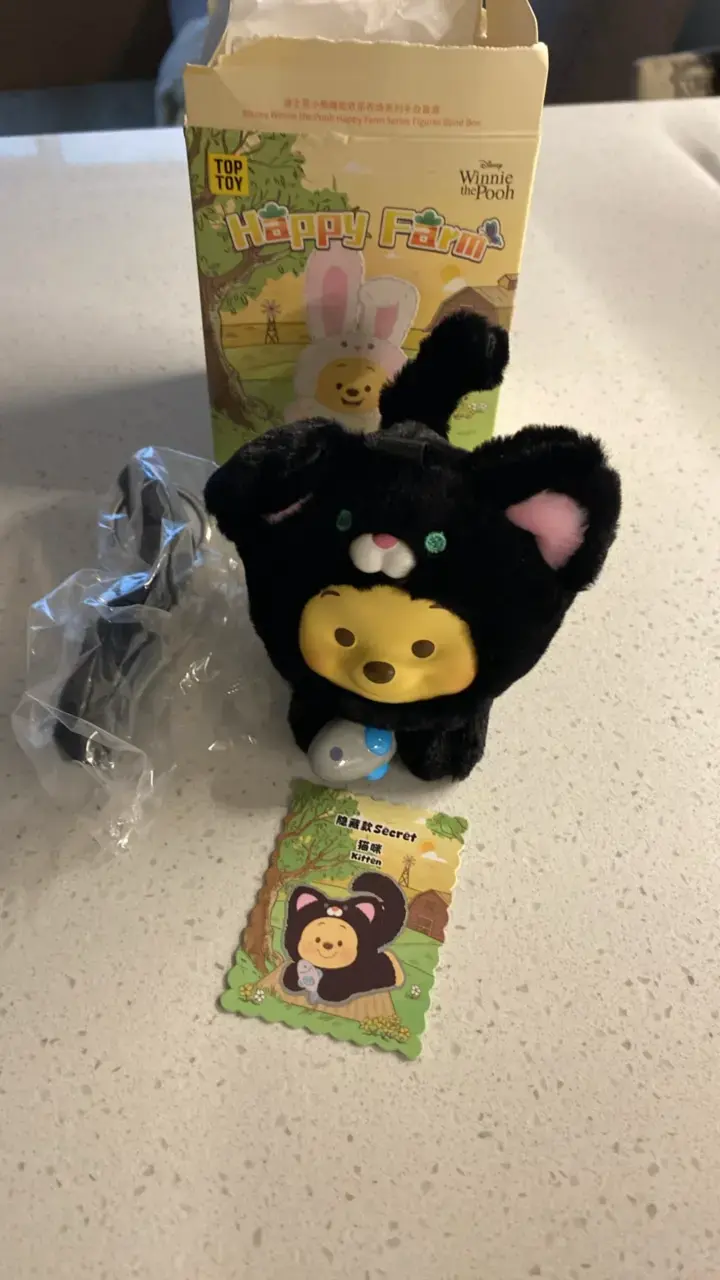Blind Box Disney Shanghai Winnie the Pooh - 3