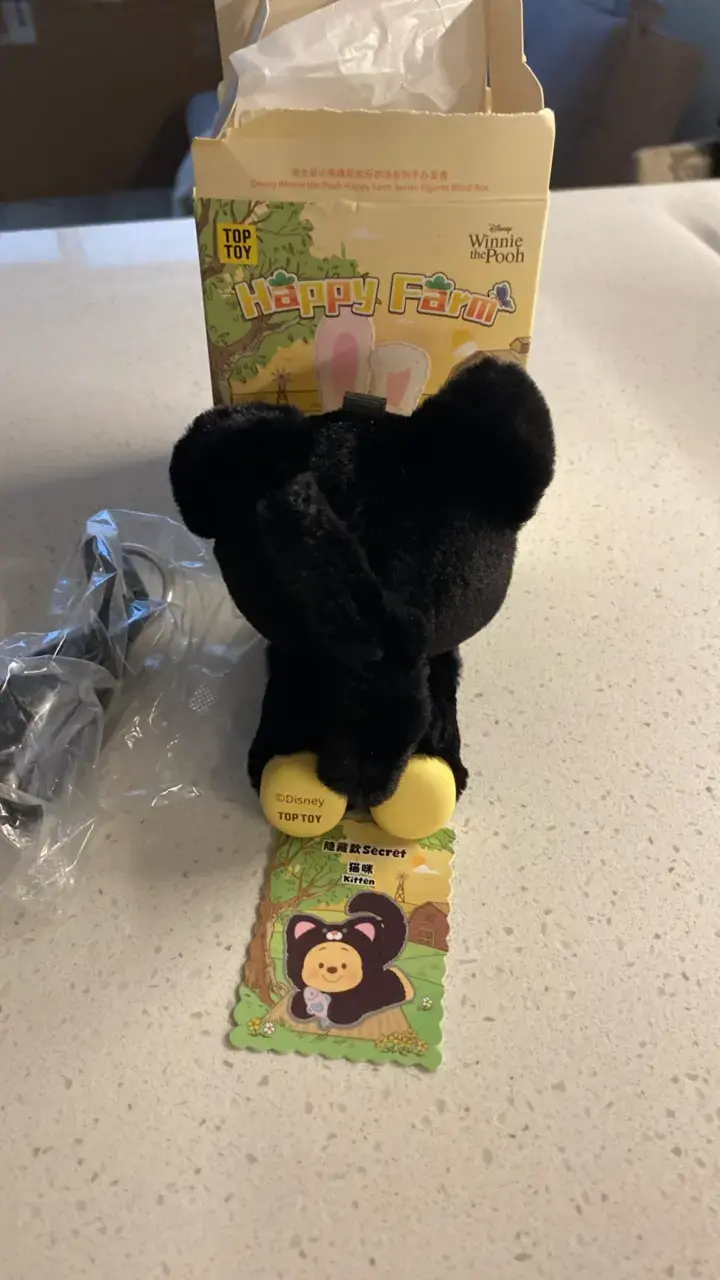 Blind Box Disney Shanghai Winnie the Pooh - 5
