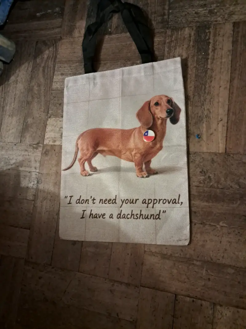 Bolsa de tela con diseño de perro salchicha - 1