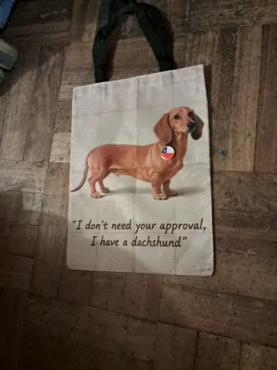 Bolsa de tela con diseño de perro salchicha - miniatura 1