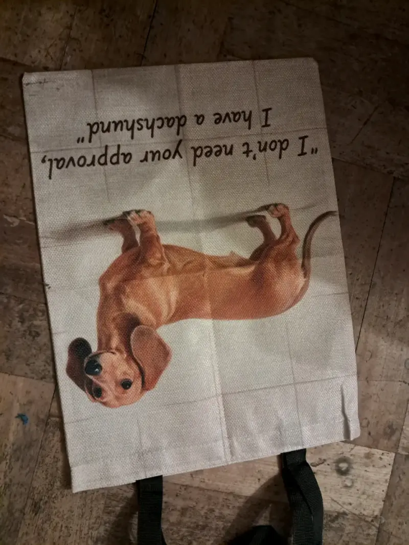 Bolsa de tela con diseño de perro salchicha - 2