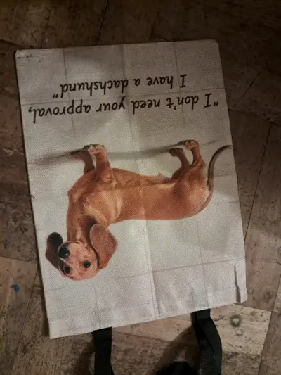 Bolsa de tela con diseño de perro salchicha - miniatura 2