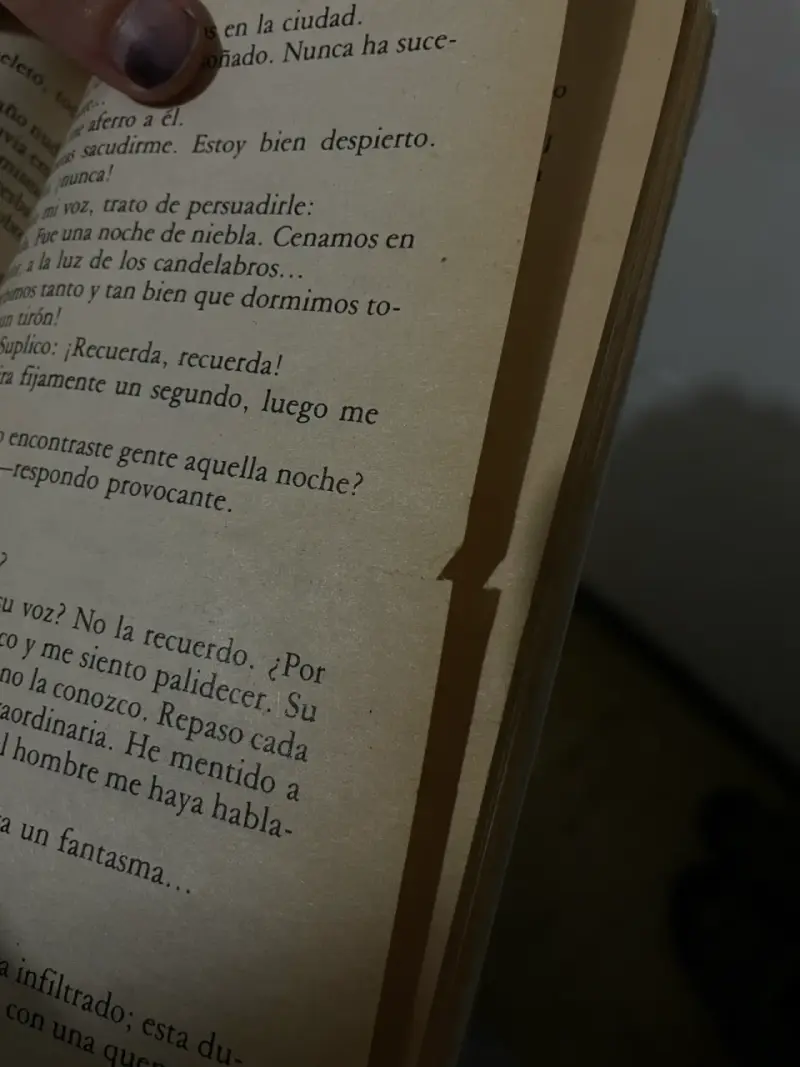 Maria Luisa Bombal ‘La ultima Niebla’ - 4