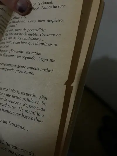 Maria Luisa Bombal ‘La ultima Niebla’ - miniatura 4