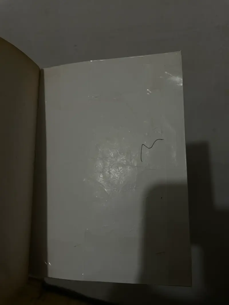 Maria Luisa Bombal ‘La ultima Niebla’ - 5